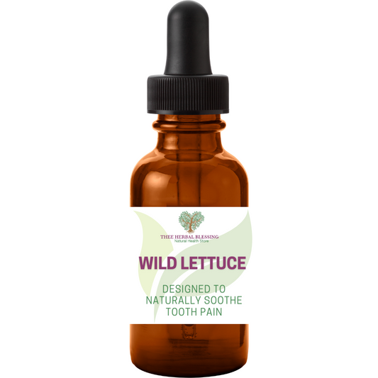 Wild Lettuce Tincture