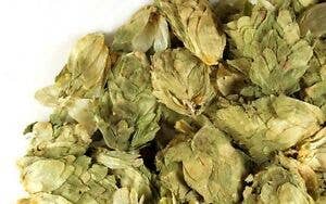 Hops, 1oz.