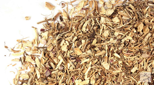 Echinacea Purpurea Root, 1oz.