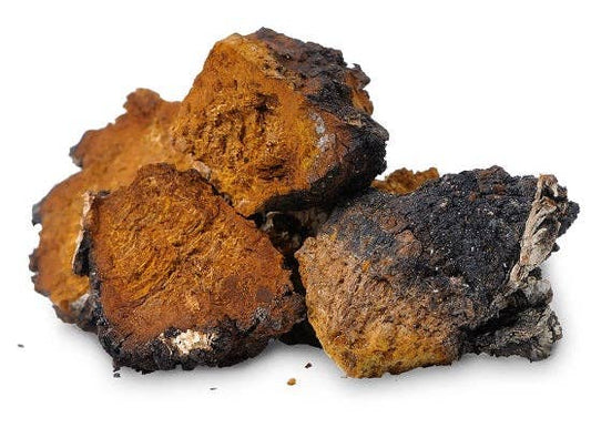 Chaga Mushroom Whole, 1oz.