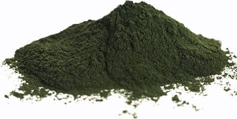 Chlorella Powder, 1oz.